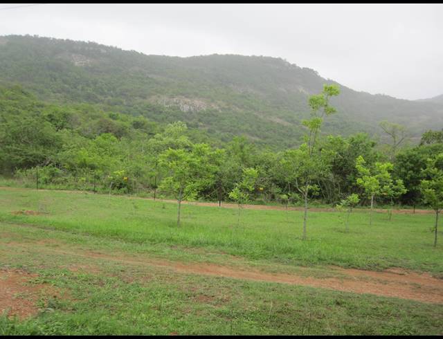 26HA FARM FOR SALE IN NELSPRUIT RURAL